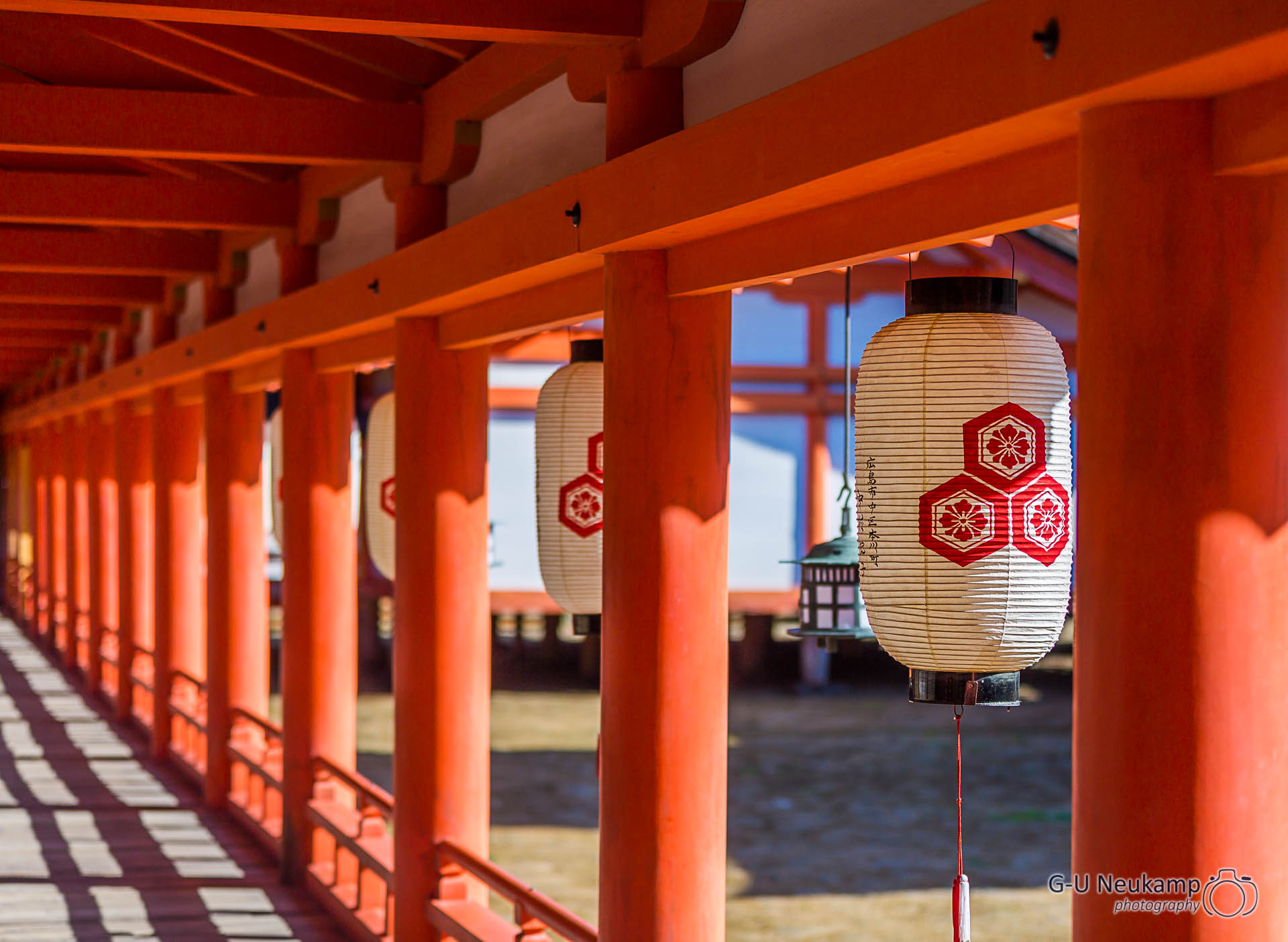 Read more about the article Welcome